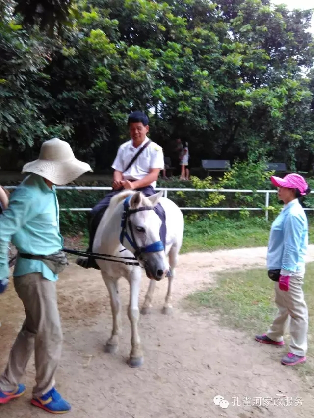 ���ҷ���׌��������á�2015��B�T�м�����(ji��)�����