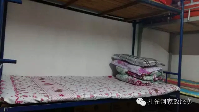 ��ȸ�Ӽ�����ķ������ů��ů��������