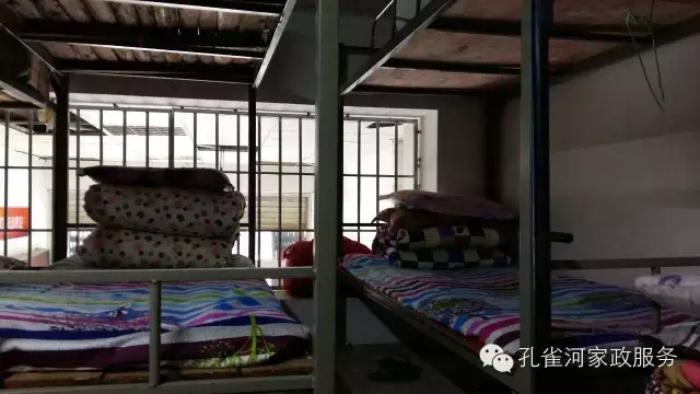 ��ȸ�Ӽ�����ķ������ů��ů��������